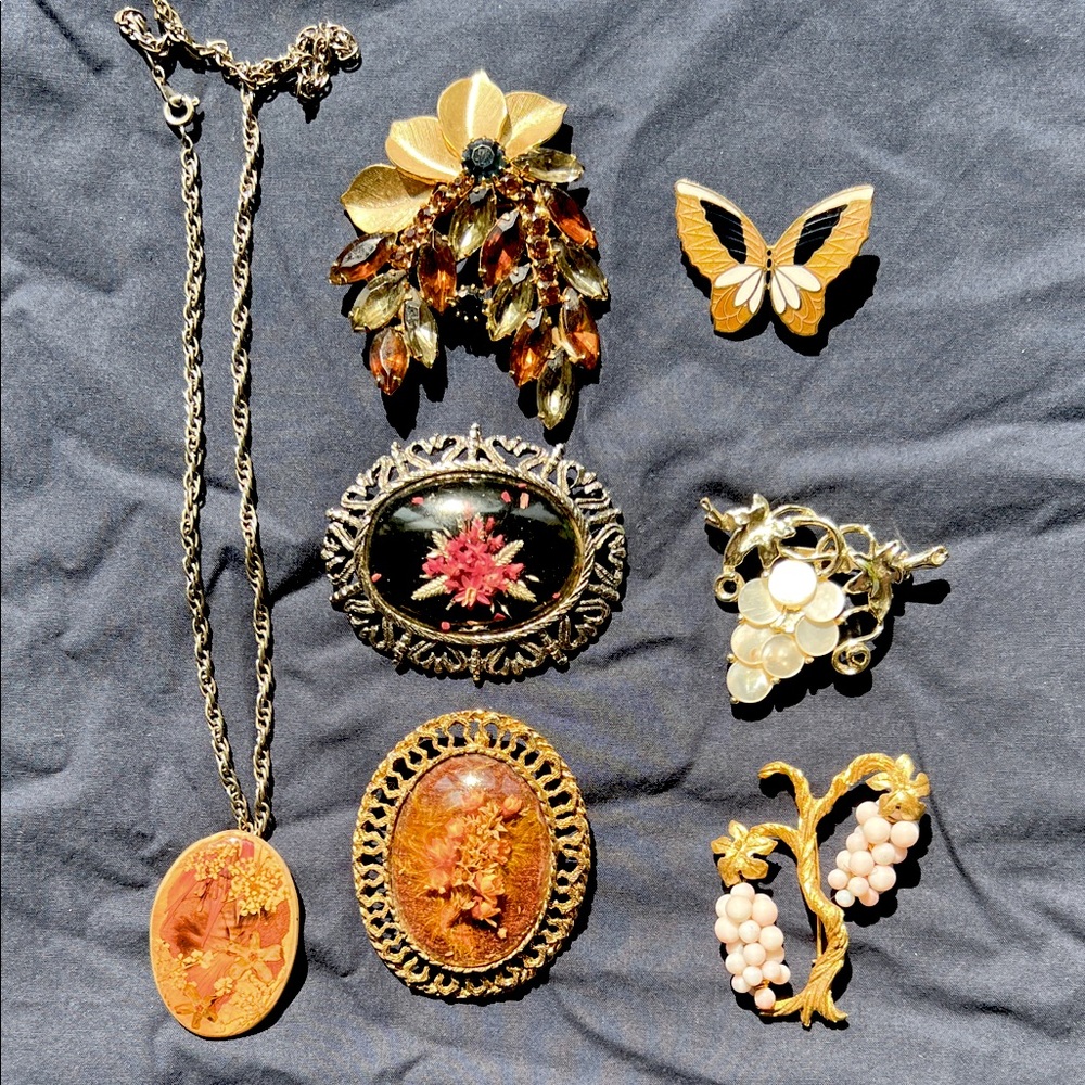 Vintage brooch pin lot and necklace pressed flowers grapes rhinestone